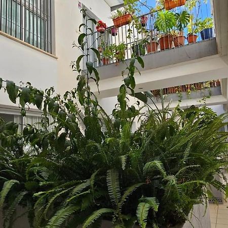 Suite Trinidad Centro Malaga Luaran gambar